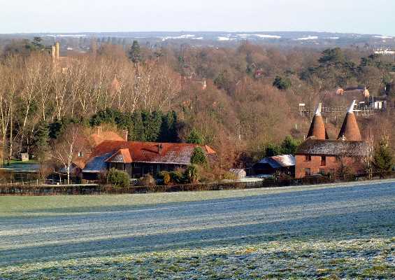 ../Images/dscf3541 a4.jpg